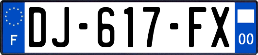 DJ-617-FX