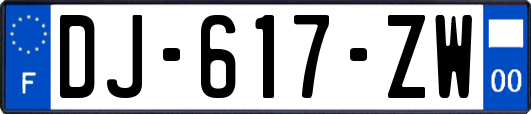 DJ-617-ZW