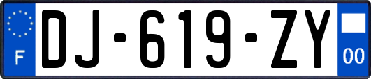 DJ-619-ZY