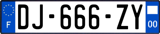 DJ-666-ZY