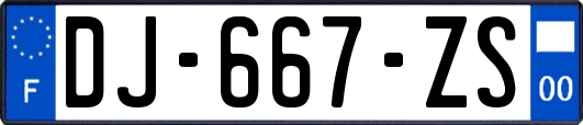 DJ-667-ZS