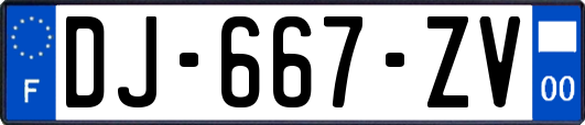 DJ-667-ZV