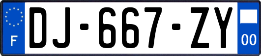 DJ-667-ZY