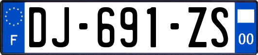 DJ-691-ZS