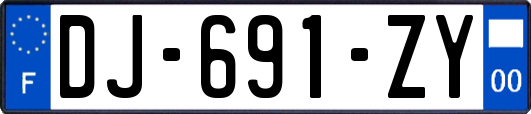 DJ-691-ZY