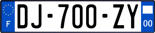 DJ-700-ZY