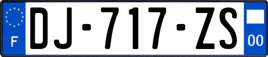 DJ-717-ZS