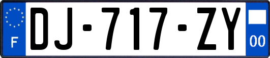 DJ-717-ZY