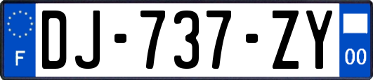 DJ-737-ZY