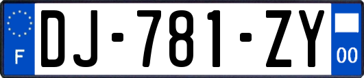 DJ-781-ZY