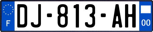 DJ-813-AH