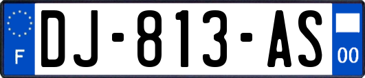 DJ-813-AS