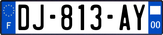 DJ-813-AY