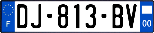 DJ-813-BV