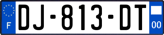 DJ-813-DT