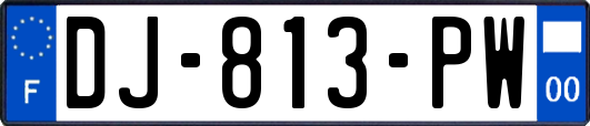 DJ-813-PW