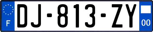 DJ-813-ZY