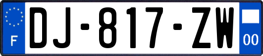 DJ-817-ZW