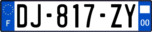 DJ-817-ZY