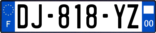 DJ-818-YZ