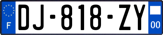 DJ-818-ZY