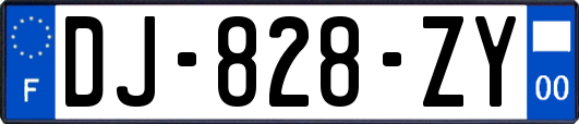 DJ-828-ZY