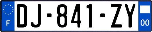 DJ-841-ZY