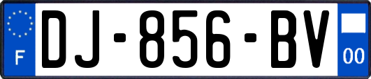 DJ-856-BV