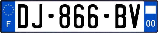 DJ-866-BV