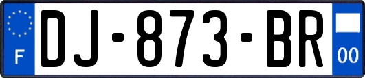 DJ-873-BR