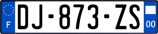 DJ-873-ZS