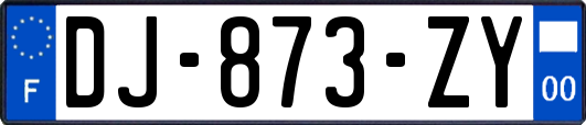 DJ-873-ZY