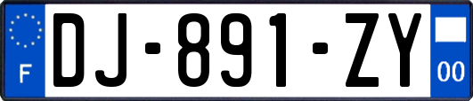 DJ-891-ZY