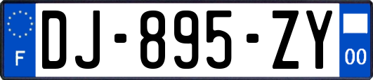 DJ-895-ZY