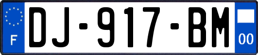 DJ-917-BM