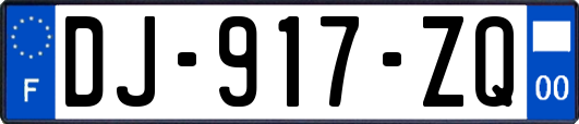 DJ-917-ZQ