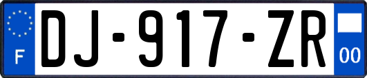 DJ-917-ZR