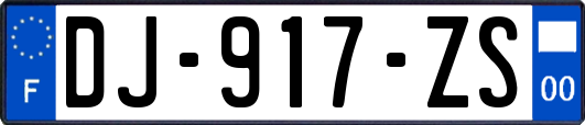 DJ-917-ZS