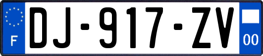 DJ-917-ZV