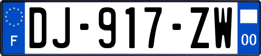DJ-917-ZW