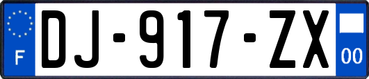 DJ-917-ZX