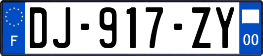 DJ-917-ZY