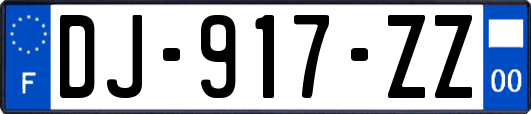 DJ-917-ZZ