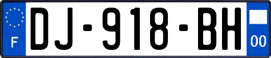 DJ-918-BH