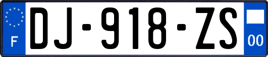 DJ-918-ZS