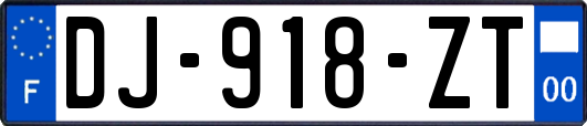 DJ-918-ZT