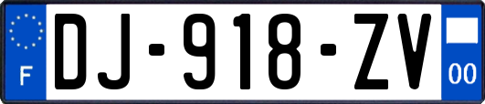 DJ-918-ZV