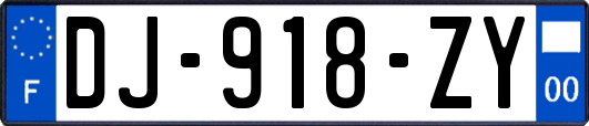 DJ-918-ZY