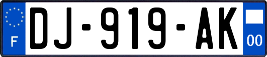 DJ-919-AK