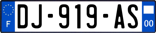 DJ-919-AS